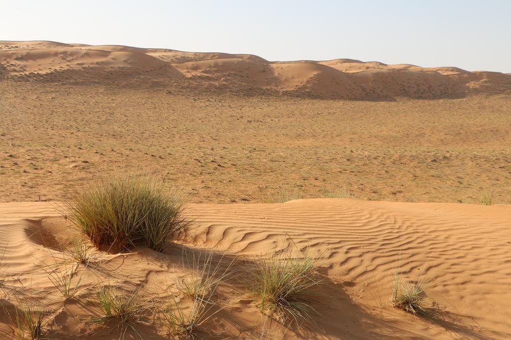 Starwatching Private Camp Ḩawīyah